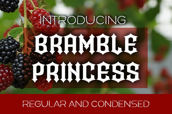 Bramble Princess: Elevating Visual Identity with Bold Blackletter Design